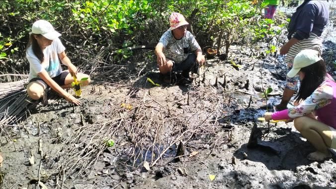 Bagongon Women planting mangrove seedlings in the islands mangrove areas