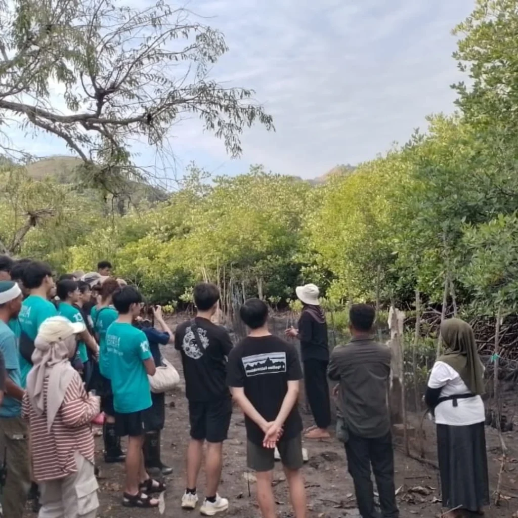 Tourists listening to a guide’s explanation while visiting a mangrove ecotourism site.