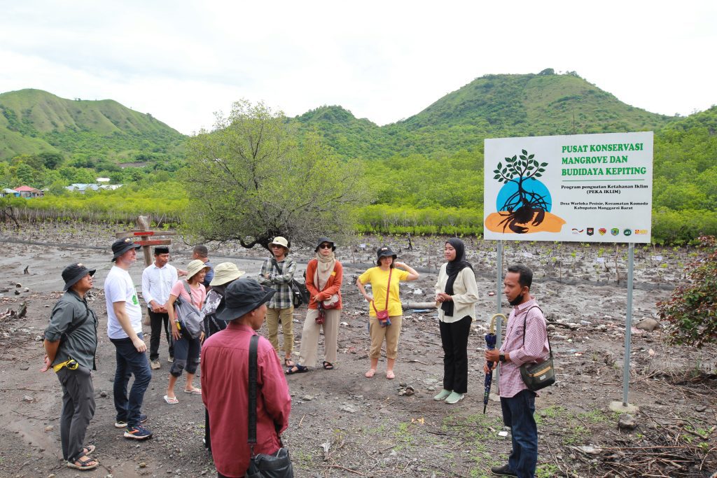 Dewi mengenakan jilbab hitam sedang menjelaskan cara menanam mangrove kepada sekelompok pengunjung di kawasan ekowisata mangrove Warloka Pesisir, dengan latar belakang papan informasi pusat konservasi mangrove dan budidaya kepiting.